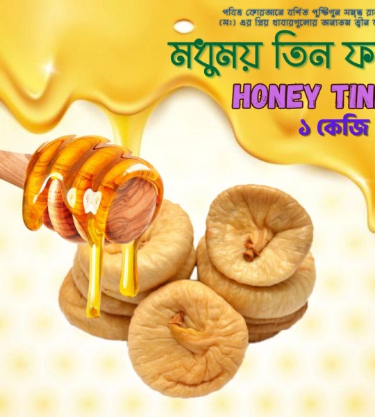Honey Tinfol - মধুময় তিন ফল